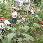 梨花幼稚園で農業体験